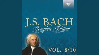 Mer Hahn en neue Oberkeet, BWV 212: XIII. Recitative. Im Ernst ein Wort! (Soprano)