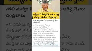 CM Chandrababu on fake liquor mafia in AP