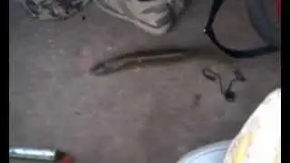 VIDEO0179