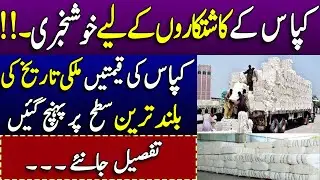 Cotton Prices Breaks All Record in pakistan 2021 !! cotton crop
