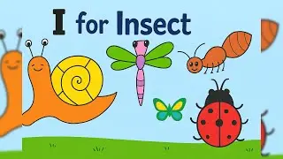 How to Draw Insects Step by Step | Drawing for Beginners