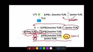 MathBio Week 4: Receptor Kinetics (Part 3/5)