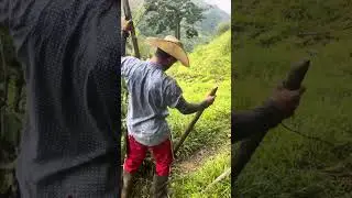 Nos fuimos por mangos pero encontramos sorpresas 😱😱