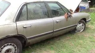 Ran When Parked...