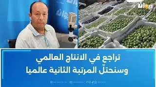 فوزي الزياني :صابة قياسيّة وأسعار زيت الزيتون ستكون أفضل من الموسم الماضي