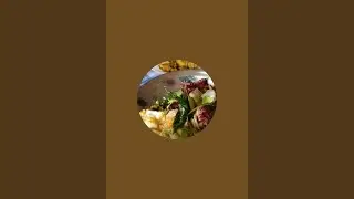 zimai chi pujbi  channel me live welcome 🙏 🤗 palz my channel sport like 👍 subscriber your comment li