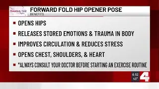 Tranquil Time with Taylor: Forward Fold Hip Opener Pose