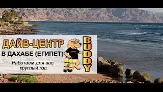 Информация о дайвинг-клубе 