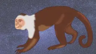 monkey nail sound (monkey nail song)