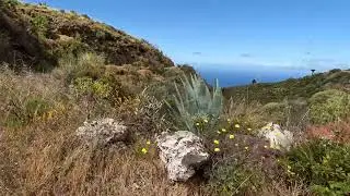 Sunday La Palma Weather-Update