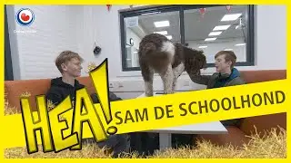 HEA! Sam de schoolhond