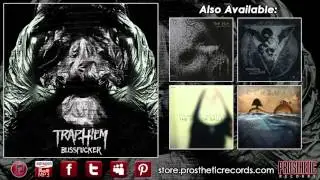 Trap Them   