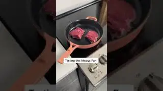 Testing the viral Always Pan Cast Iron
