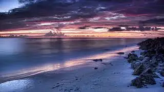 Zara - Maa Lily Banafsa Ma (Aerth Remix)