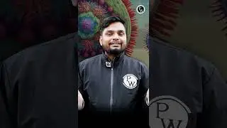 Nipah virus: What are the symptoms, precautions & treatment for the deadly virus? #shorts #pw ￼