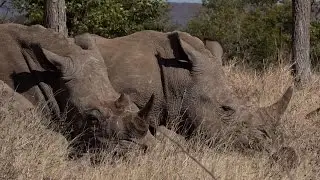 Zambia Mosi Oa Tunya