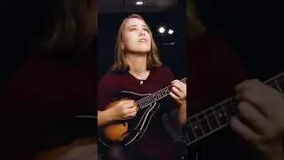 this is how mandolin sounds in jazz #mandolin #mandolinplayer #folkinstruments