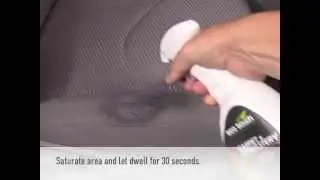 Car Upholstery Cleaning with Eco Touch | Car Stain Remover