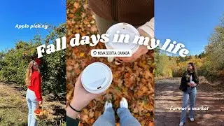 Fall days in my life living in Halifax, Nova Scotia | Apple picking, Farmer's market + Fall walk