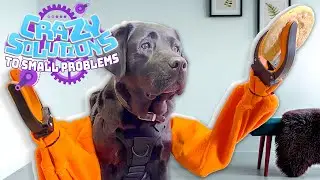 We Invented Working Robotic Arms for Dogs | CRAZY SOLUTIONS TO SMALL PROBLEMS