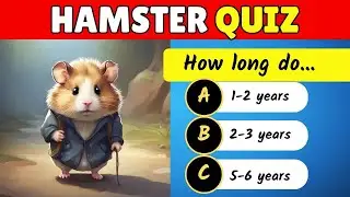 How good is your Hamster Knowledge? 8 interesting facts | Magic Kids Quiz