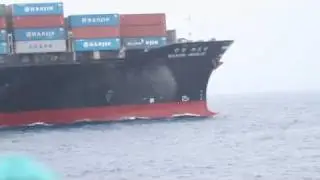 blue whale close call with ship.mov