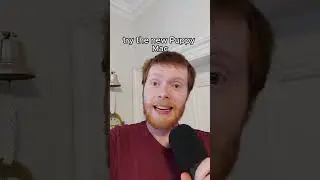 AI is a burger made of puppies