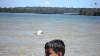 LANCHINHA NA ILHA