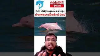 🐬 ઈન્ડો પેસિફીક હમ્પબેક ડોલ્ફિન | ગુલાબી ડોલ્ફિન | Environment | Current Affairs | GPSC | Vanrakshak
