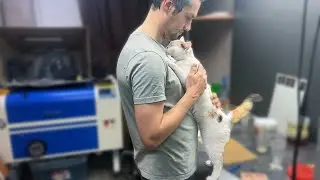 When I'm in the workshop, the cat always comes to cuddle