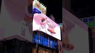 Giant 3D cat billboard, Shinjuku, Tokyo, Japan