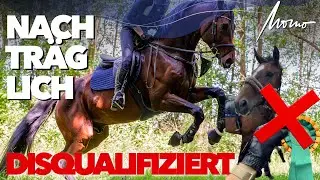 Nachtr&auml;glich DISQUALIFIZIERT 🤨 Gel&auml;ndeturnier | Weekly Vlog #272