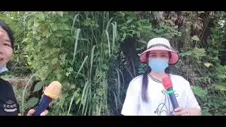 多少次想你，珍珍VS小朱，珍珍歌唱頻道