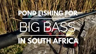 SUMMER BASS FISHING SOUTH AFRICA