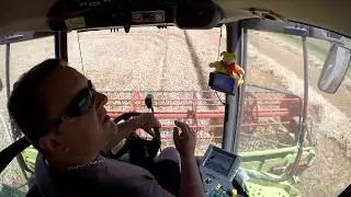 La moisson du bl&eacute;.