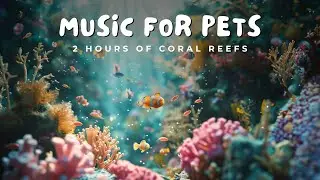 🐠 2 Hours of Gentle Music for Dogs | 🌊 Coral Reef Scenery & Harmony