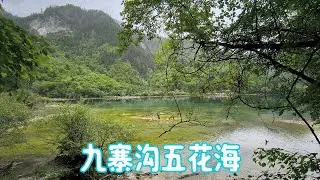 Five-flower Lake, Jiuzhaigou National Geopark, Sichuan Province 四川九寨沟五花海
