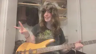 my chemical romance - headfirst for halos (bass cover)