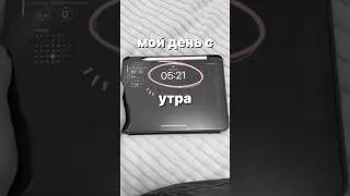 тгк: полина поликарбонат🤔 #мойдень #vlog #vlog #учеба