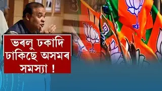 ভৰলু ঢকাদি ঢাকিছে অসমৰ সমস্যা!