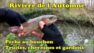 Pêche de la TRUITE au bouchon dans la rivière de l'Automne...