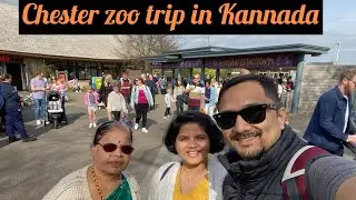 A day trip to Chester zoo