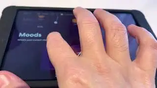 Scarlet Lady Cabin Control Tablet