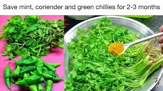 How To Save Mint and Coriender Leaves For 2-3 weeks | Podina or Hara Dhania Mehfooz Krne Ka Tarika