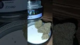 🔥🔥🔥😋👽 #strainreviews #Rythm #GTI #medicalcannabis #Lit #music #youtubeshorts #trending