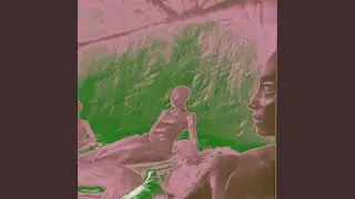 wild tunes