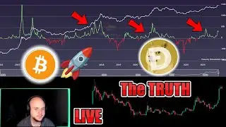 🔴 BITCOIN Q4 BULL MARKET STARTING OR BEAR MARKET CRASH!? Q4 DOGE PUMP!?  Dogecoin Doge LIVE STREAM