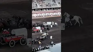 INSANE Chuckwagon Races at Calgary Stampede! 🐎💥