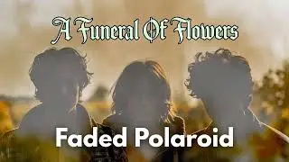 A Funeral Of Flowers &mdash; Faded Polaroid