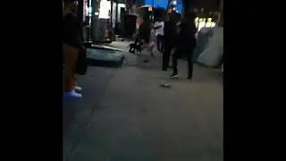 Fight on Bay st Staten Island. owner gets bit in the face by dog.